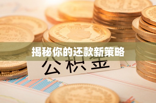 西昌揭秘你的还款新策略