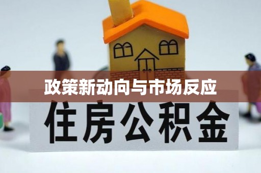 西昌政策新动向与市场反应
