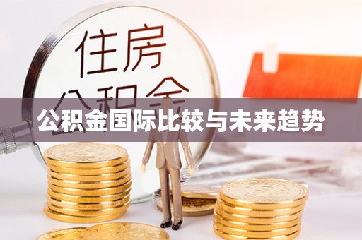 西昌公积金国际比较与未来趋势