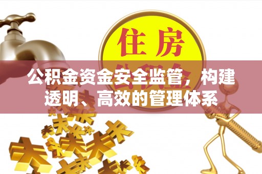 西昌公积金资金安全监管，构建透明、高效的管理体系