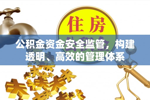 西昌公积金资金安全监管，构建透明、高效的管理体系