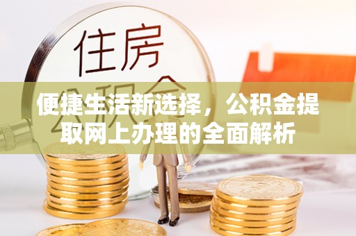 西昌便捷生活新选择，公积金提取网上办理的全面解析
