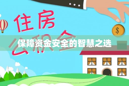 西昌保障资金安全的智慧之选