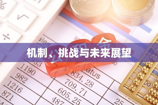 西昌机制、挑战与未来展望
